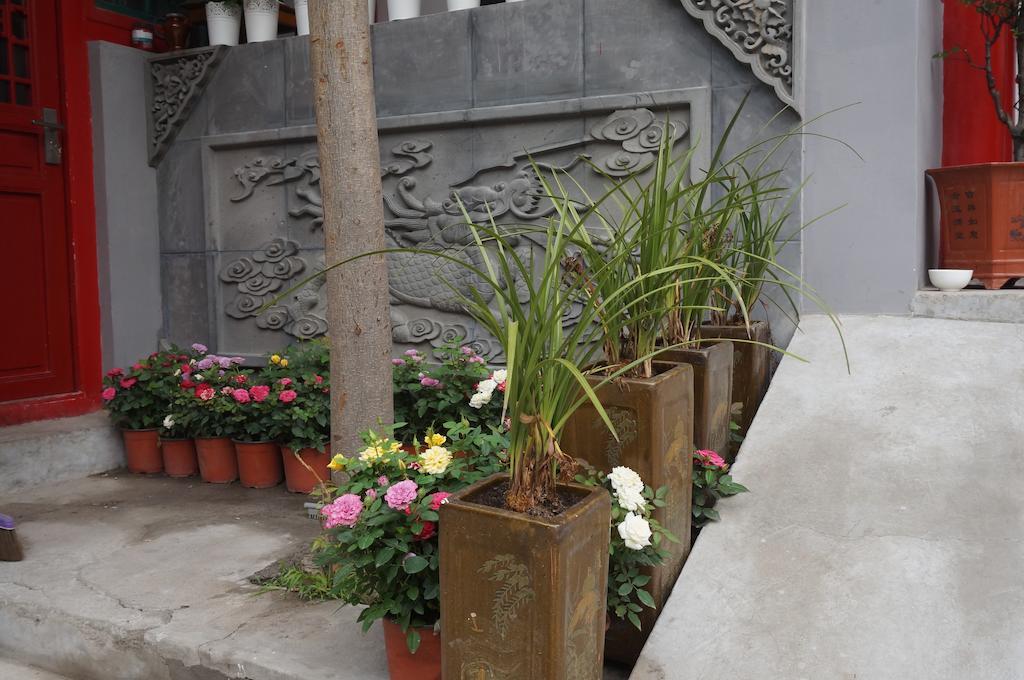 Songy Hundred-Year Courtyard Hotel بكين المظهر الخارجي الصورة